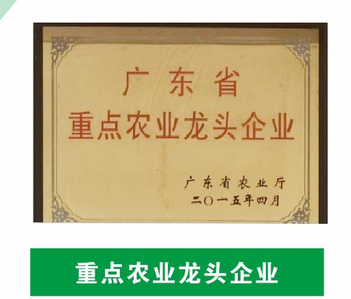 重點(diǎn)農(nóng)業(yè)龍頭企業(yè)